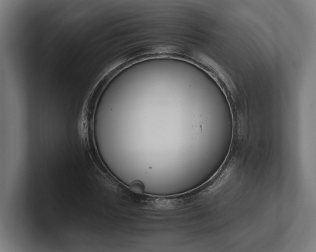 X0000102300827200808011400