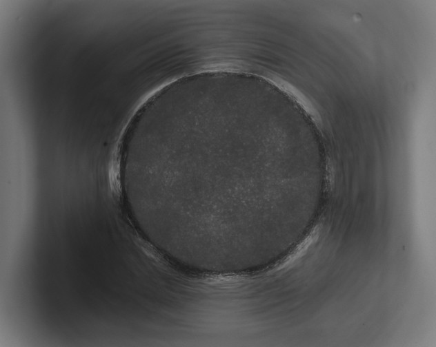 X0000102300830200808011400