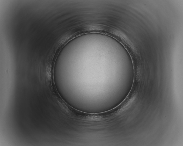 X0000102300833200808011400