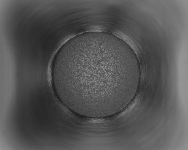 X0000102300835200808011400