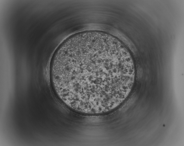 X0000102300836200808011400