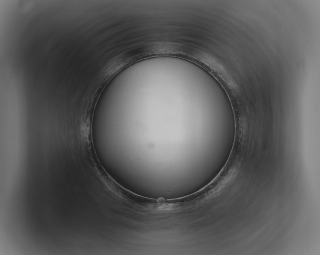 X0000102300841200808011400