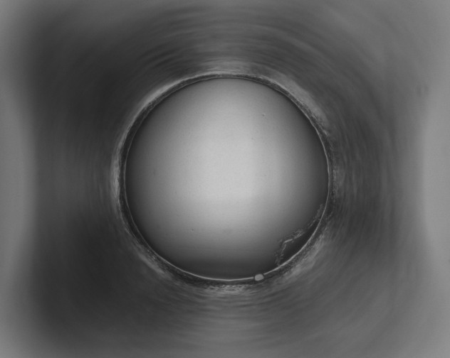 X0000102300846200808011401