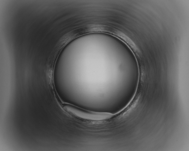 X0000102300849200808011401