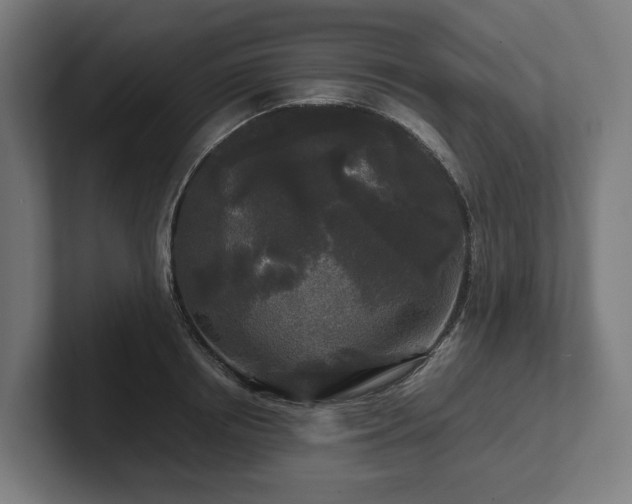 X0000102300850200808011401