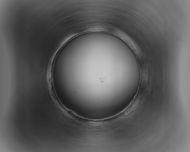 X0000102300852200808011401