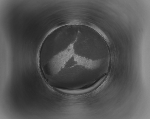 X0000102300854200808011401