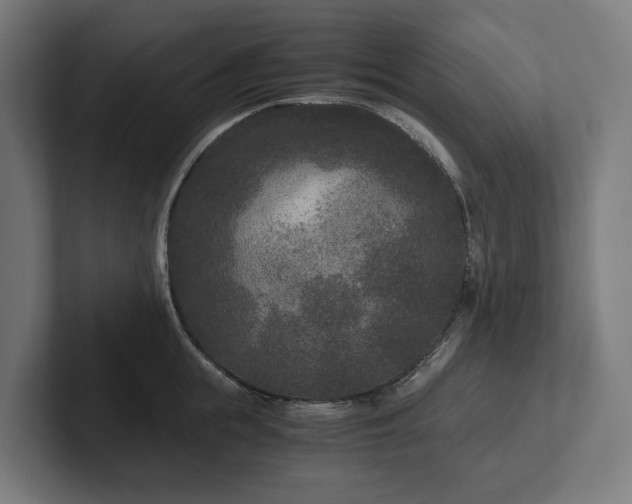 X0000102300855200808011401