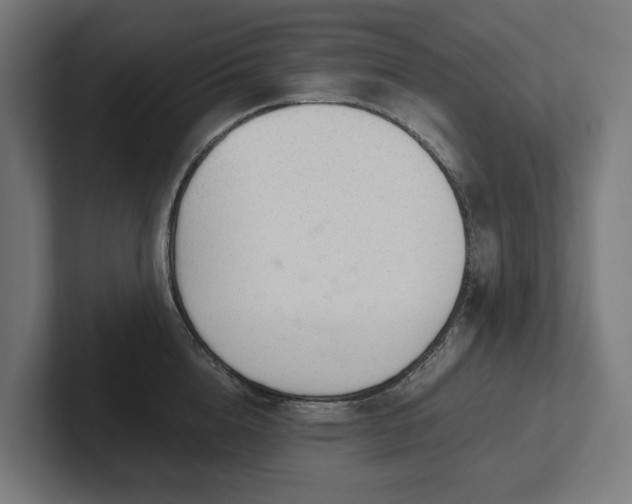 X0000102300856200808011401