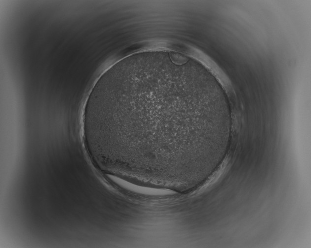 X0000102300858200808011401