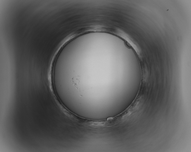 X0000102300861200808011401