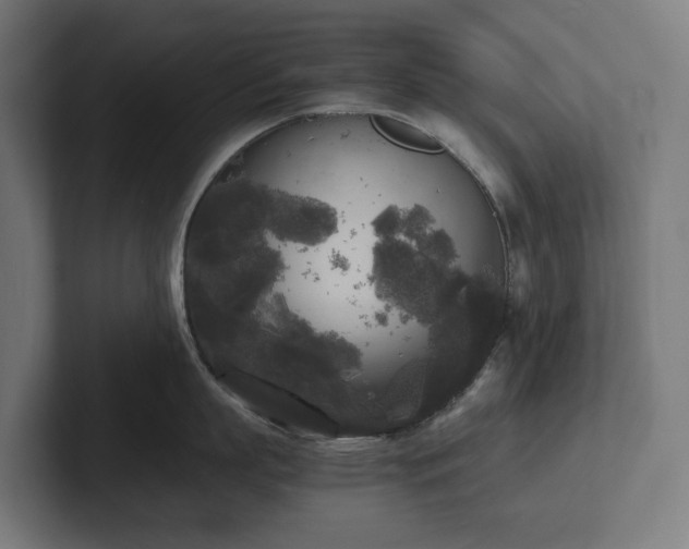 X0000102300863200808011401