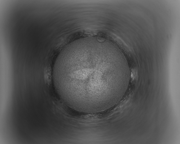 X0000102300867200808011400