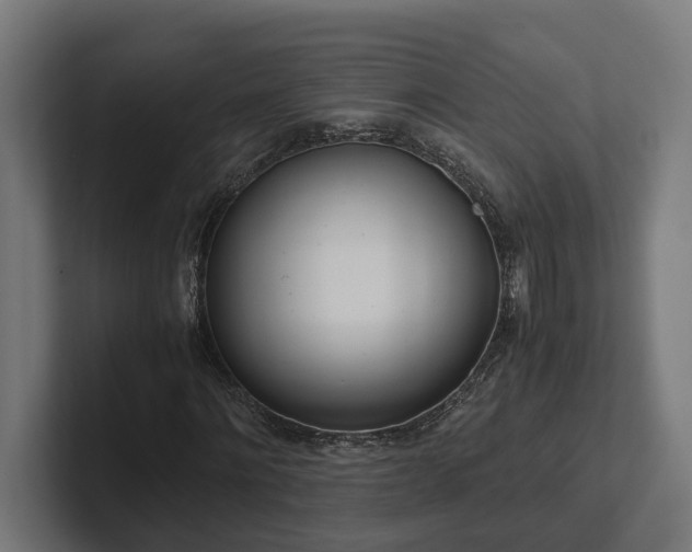 X0000102300868200808011400