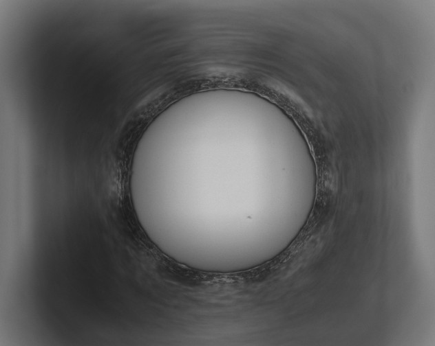 X0000102300869200808011400