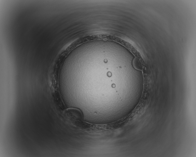 X0000102300871200808011400