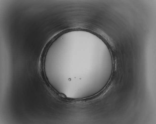 X0000102300876200808011400