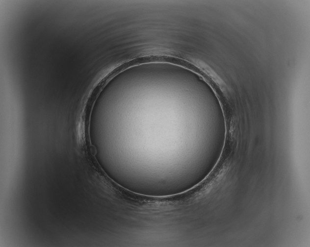 X0000102300877200808011400