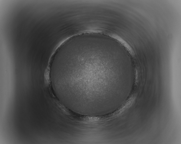 X0000102300878200808011400