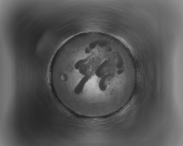 X0000102300879200808011400