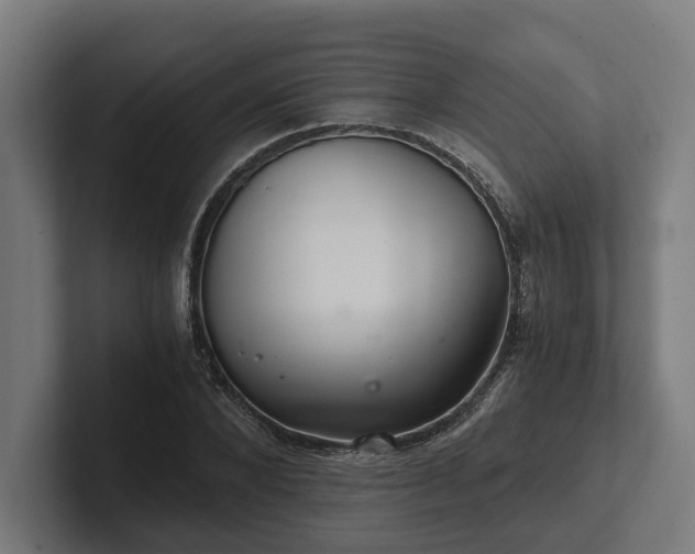 X0000102300880200808011400