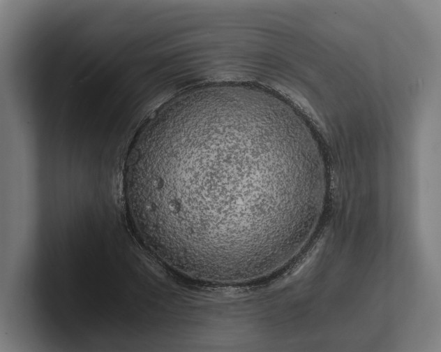 X0000102300881200808011400