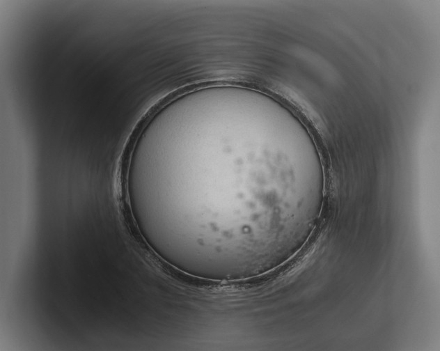 X0000102300883200808011400