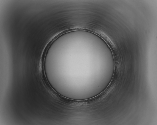 X0000102300884200808011400