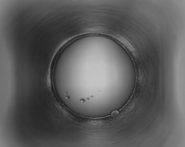 X0000102300888200808011400