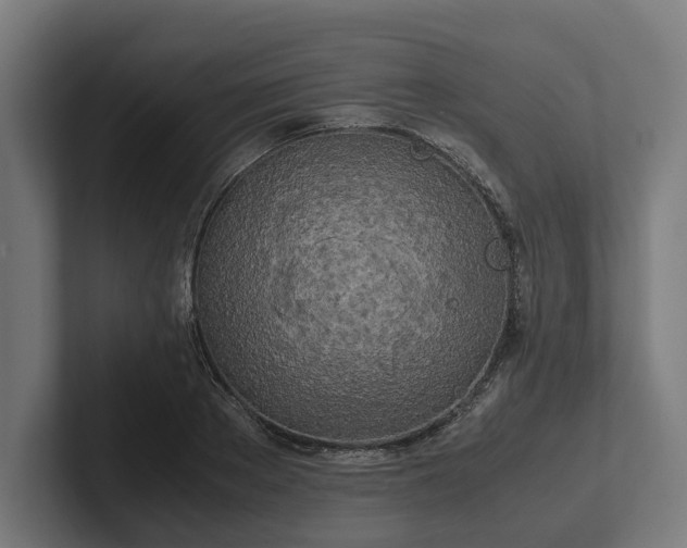 X0000102300889200808011400