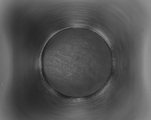 X0000102300891200808011400