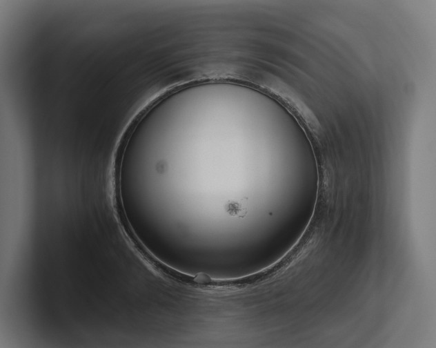 X0000102300894200808011400