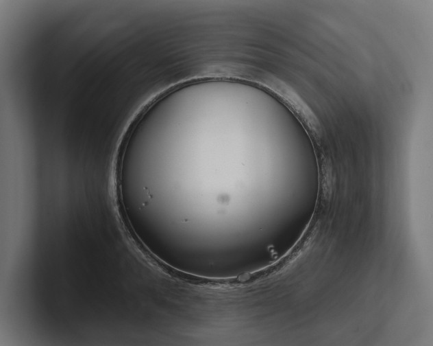 X0000102300896200808011400