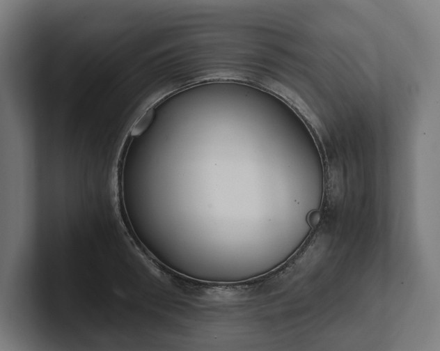 X0000102300898200808011400