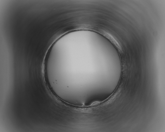 X0000102300900200808011400