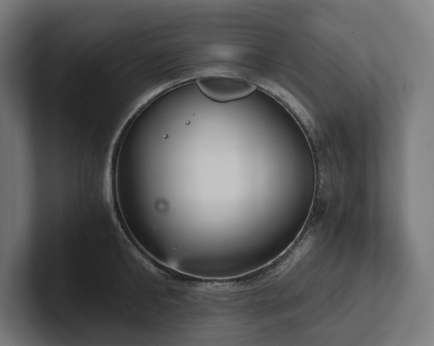 X0000102300902200808011400