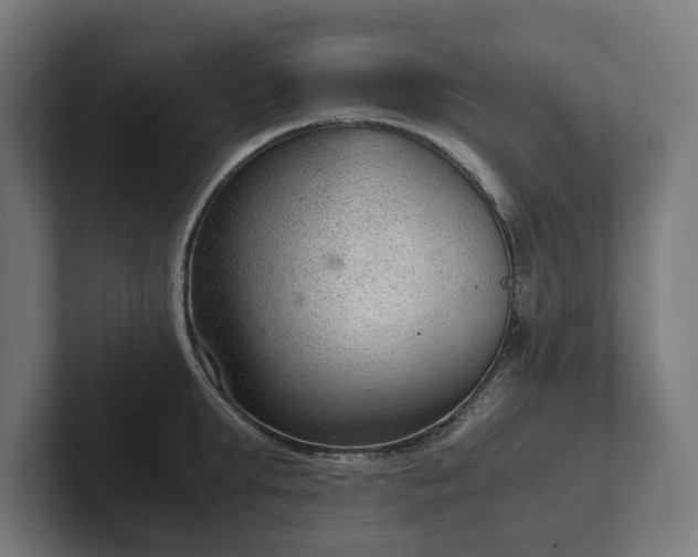 X0000102300903200808011400