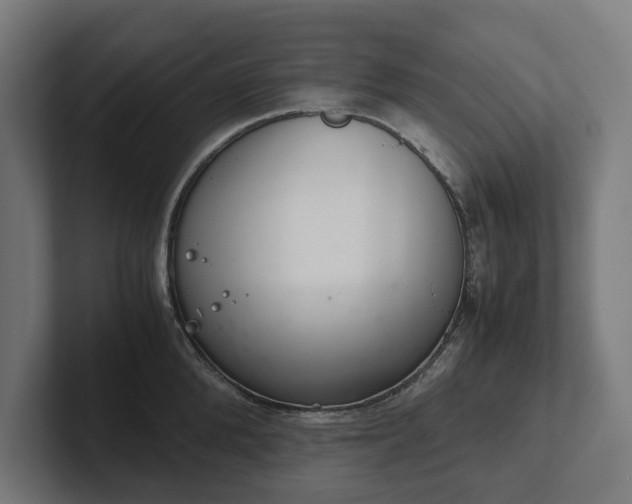 X0000102300904200808011400