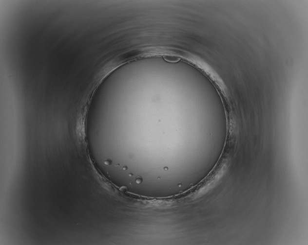 X0000102300905200808011400