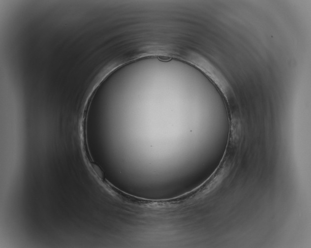 X0000102300906200808011400