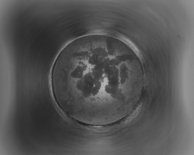 X0000102300907200808011400