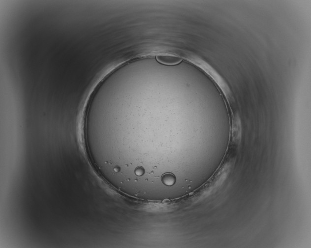 X0000102300909200808011400