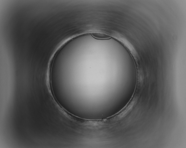 X0000102300910200808011400