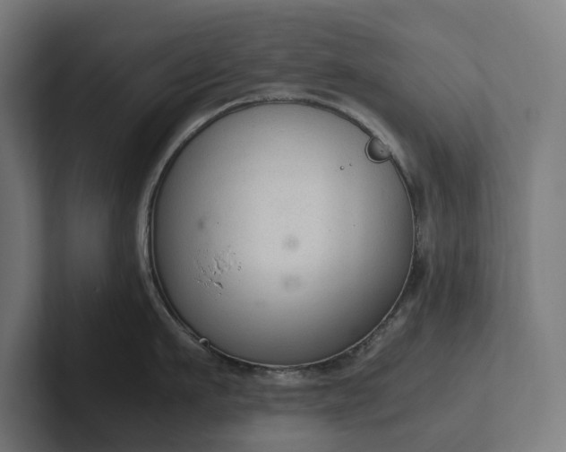 X0000102300911200808011400