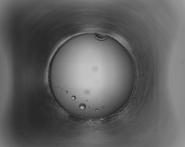 X0000102300912200808011400