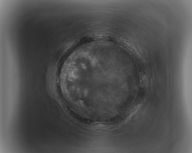 X0000102300913200808011359