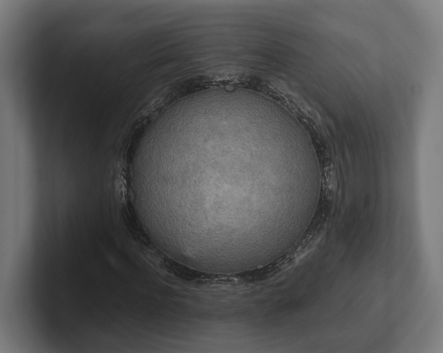 X0000102300916200808011359