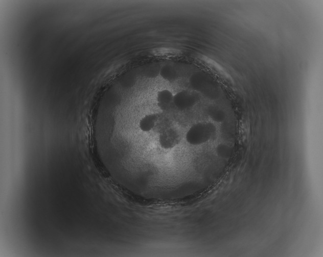 X0000102300917200808011359