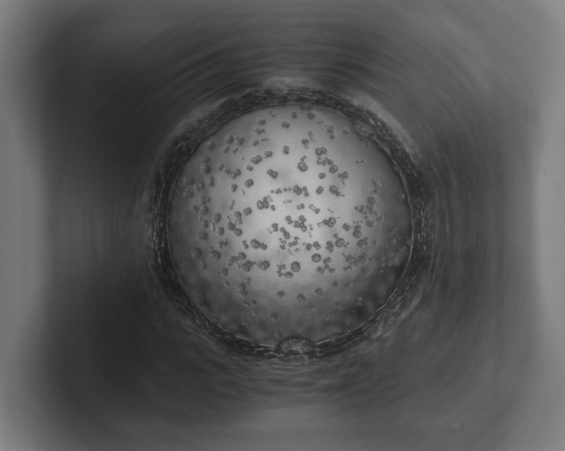 X0000102300919200808011359