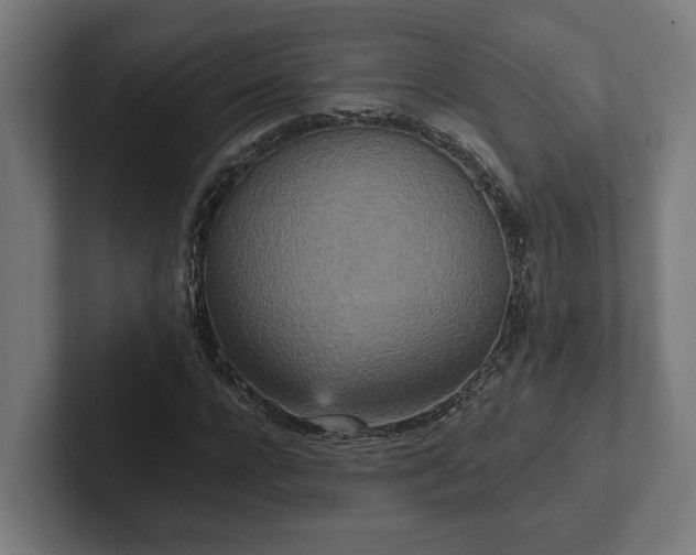 X0000102300920200808011359